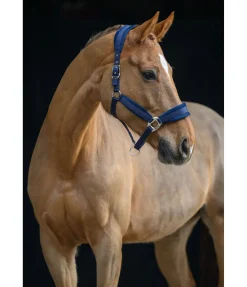 Outlet Licol Soft Velvet Licols Synthétiques