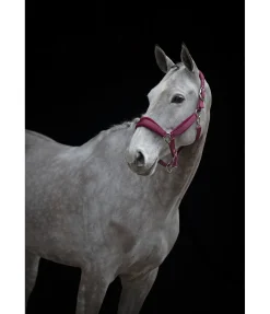 New Licol Soft Velvet Licols Synthétiques