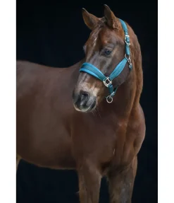 New Licol Soft Velvet Licols Synthétiques