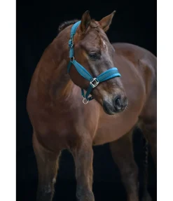 New Licol Soft Velvet Licols Synthétiques