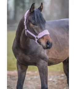 Sale Licol Softy Licols Synthétiques|Licols Pour Poneys & Poulains