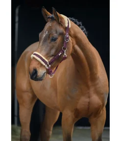 New Licol Sparkling II Fourrure D'Agneau|Licols Pour Poneys & Poulains