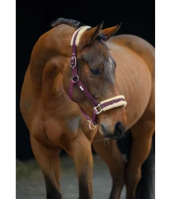 New Licol Sparkling II Fourrure D'Agneau|Licols Pour Poneys & Poulains