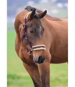 New Licol Sparkling II Fourrure D'Agneau|Licols Pour Poneys & Poulains