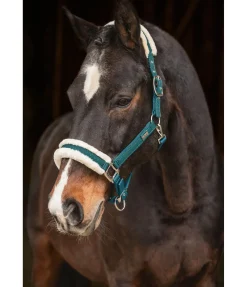 Hot Licol Sparkling II Fourrure D'Agneau|Licols Pour Poneys & Poulains