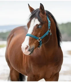 New Licol Stella Licols Synthétiques