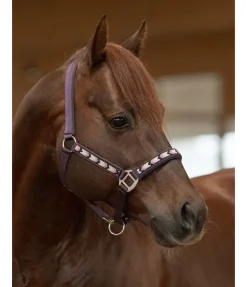 Discount Licol Stone Licols Synthétiques