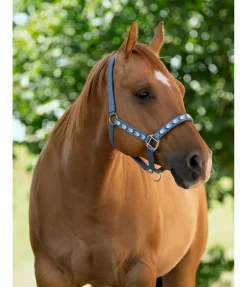 Licol Stone Licols Synthétiques