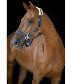 Best Licol Swiss Design Fourrure D'Agneau|Licols Pour Poneys & Poulains