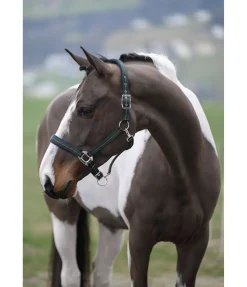 Discount Licol Swiss Design II Licols Synthétiques