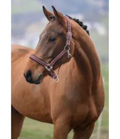 Sale Licol Swiss Design II Licols Synthétiques