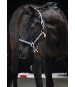 Online Licol Swiss Design II Licols Synthétiques