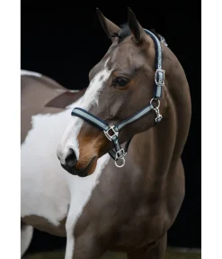 Sale Licol Swiss Design II Licols Synthétiques