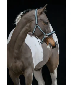 Sale Licol Swiss Design II Licols Synthétiques