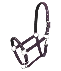 Discount Licol Twinkle Licols Synthétiques