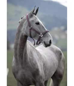 Discount Licol Twinkle Licols Synthétiques