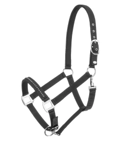 Outlet Licol Twinkle Licols Synthétiques