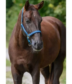 Sale Licol Twotone Licols Synthétiques|Licols Pour Poneys & Poulains