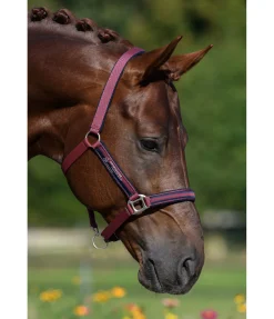 Clearance Licol Twotone Licols Synthétiques|Licols Pour Poneys & Poulains