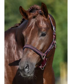 Clearance Licol Twotone Licols Synthétiques|Licols Pour Poneys & Poulains