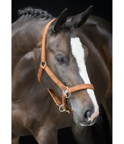 Sale Licol Velvet Licols Synthétiques