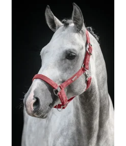 Discount Licol Velvet Licols Synthétiques