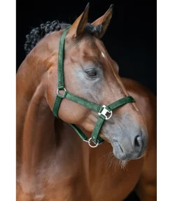 New Licol Velvet Licols Synthétiques