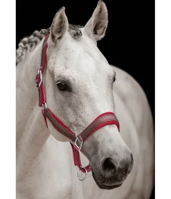 New Licol Velvet Twinkle Licols Pour Poneys & Poulains|Licols Synthétiques