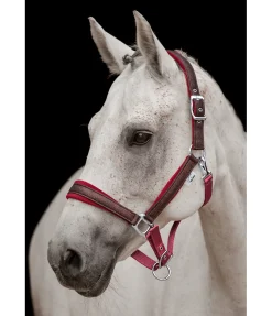 New Licol Velvet Twinkle Licols Pour Poneys & Poulains|Licols Synthétiques