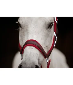 New Licol Velvet Twinkle Licols Pour Poneys & Poulains|Licols Synthétiques