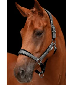 Sale Licol Velvet Twinkle Licols Pour Poneys & Poulains|Licols Synthétiques