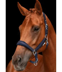 Outlet Licol Velvet Twinkle Licols Pour Poneys & Poulains|Licols Synthétiques