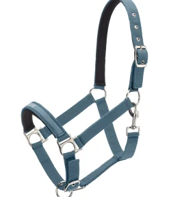 Best Licol Viktor Licols Synthétiques