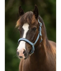 Best Licol Viktor Licols Synthétiques