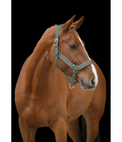 Sale Licol anatomique Relaxation Licols Pour Poneys & Poulains|Licols Synthétiques