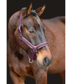 Sale Licol anatomique Relaxation Licols Pour Poneys & Poulains|Licols Synthétiques