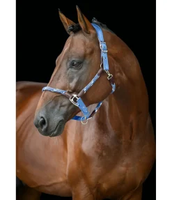 Hot Licol anatomique Sophistication Licols En Cuir|Licols Synthétiques