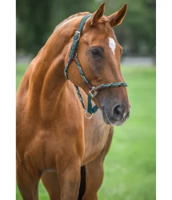 Hot Licol anatomique Sophistication Licols En Cuir|Licols Synthétiques