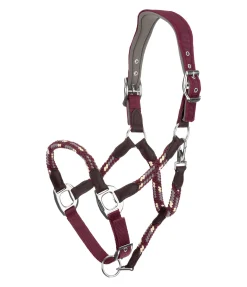 Online Licol anatomique Sophistication Licols En Cuir|Licols Synthétiques