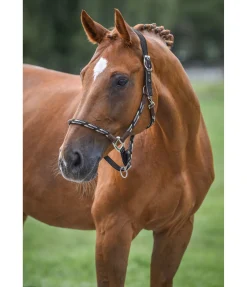 Online Licol anatomique Sophistication Licols En Cuir|Licols Synthétiques