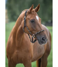 Online Licol anatomique Sophistication Licols En Cuir|Licols Synthétiques