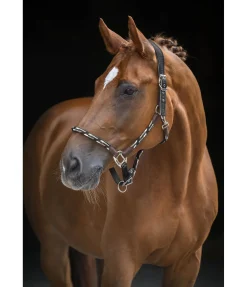 Online Licol anatomique Sophistication Licols En Cuir|Licols Synthétiques