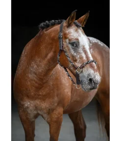 Online Licol anatomique Sophistication Licols En Cuir|Licols Synthétiques