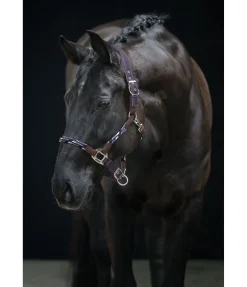 Online Licol anatomique Sophistication Licols En Cuir|Licols Synthétiques