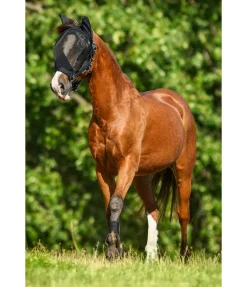 Sale Licol avec masque anti-mouches intégré All-In-One Masques & Émouchettes|Licols Synthétiques