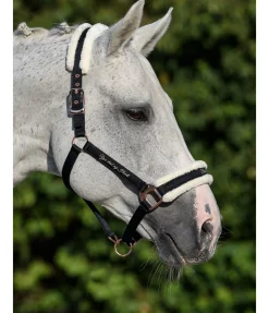 New Licol avec polaire Teddy Better Together Fourrure D'Agneau|Licols Pour Poneys & Poulains