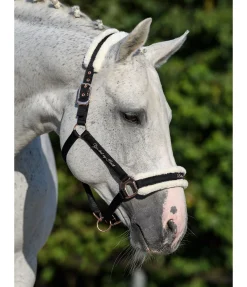 New Licol avec polaire Teddy Better Together Fourrure D'Agneau|Licols Pour Poneys & Poulains