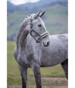 Clearance Licol avec polaire Teddy Better Together Fourrure D'Agneau|Licols Pour Poneys & Poulains