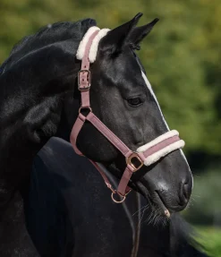 Hot Licol avec polaire Teddy Better Together Fourrure D'Agneau|Licols Pour Poneys & Poulains