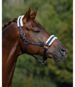 New Licol avec polaire Teddy Better Together Fourrure D'Agneau|Licols Pour Poneys & Poulains